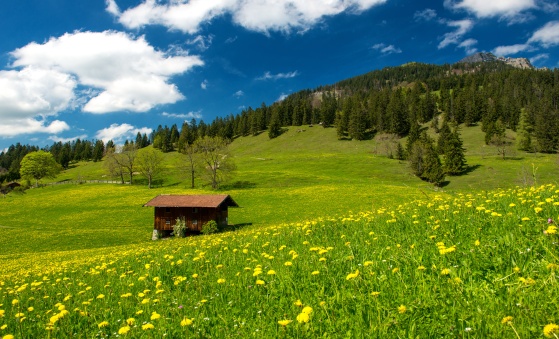 Fotolia_52651802_XXL_klein