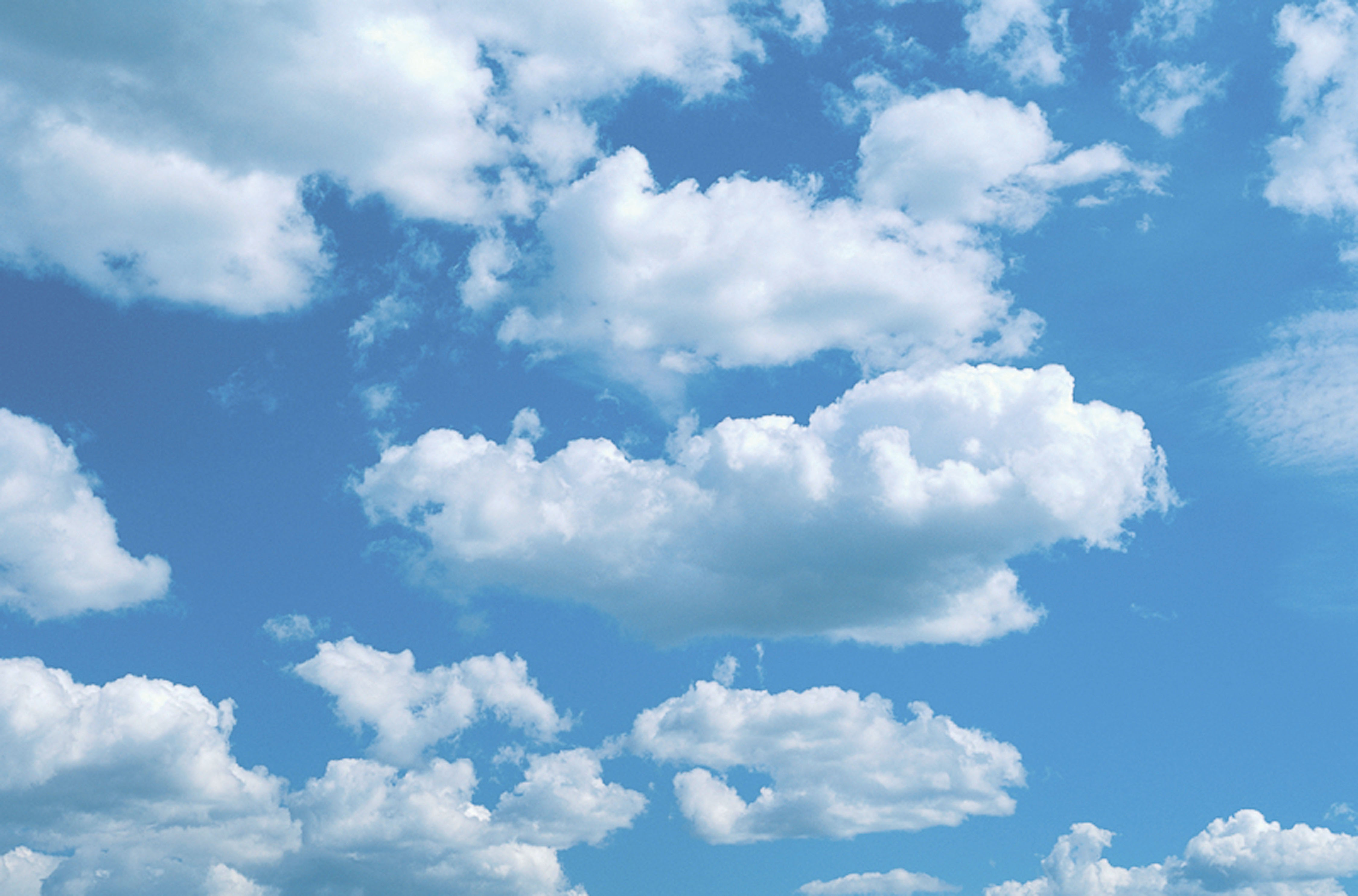 Hintergrund_Freisleder